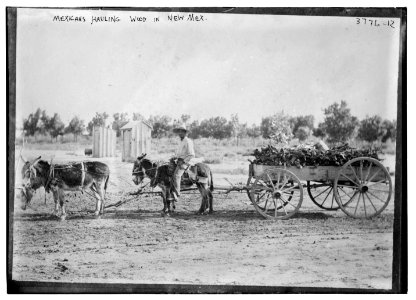 Mexicans hauling wood in New Mex. (Mexico) LCCN2014701130