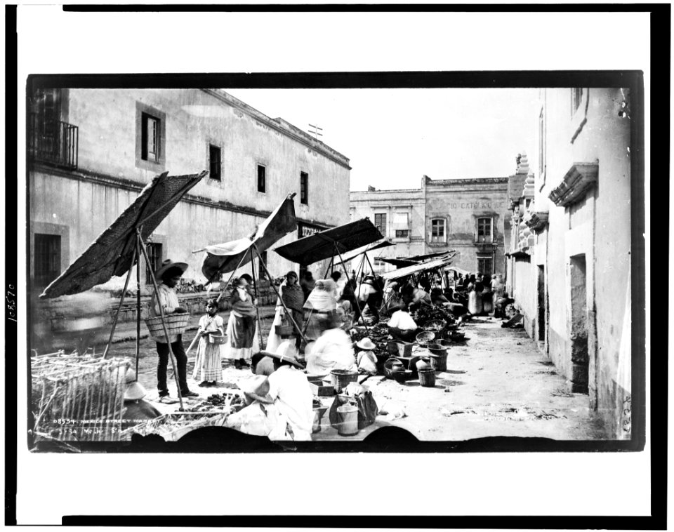 Mexico street market LCCN93513687