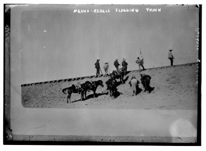 Mexico rebels flagging train LCCN2014689006