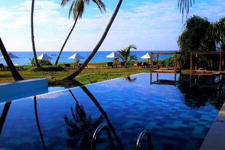 Tropical holiday exotica
