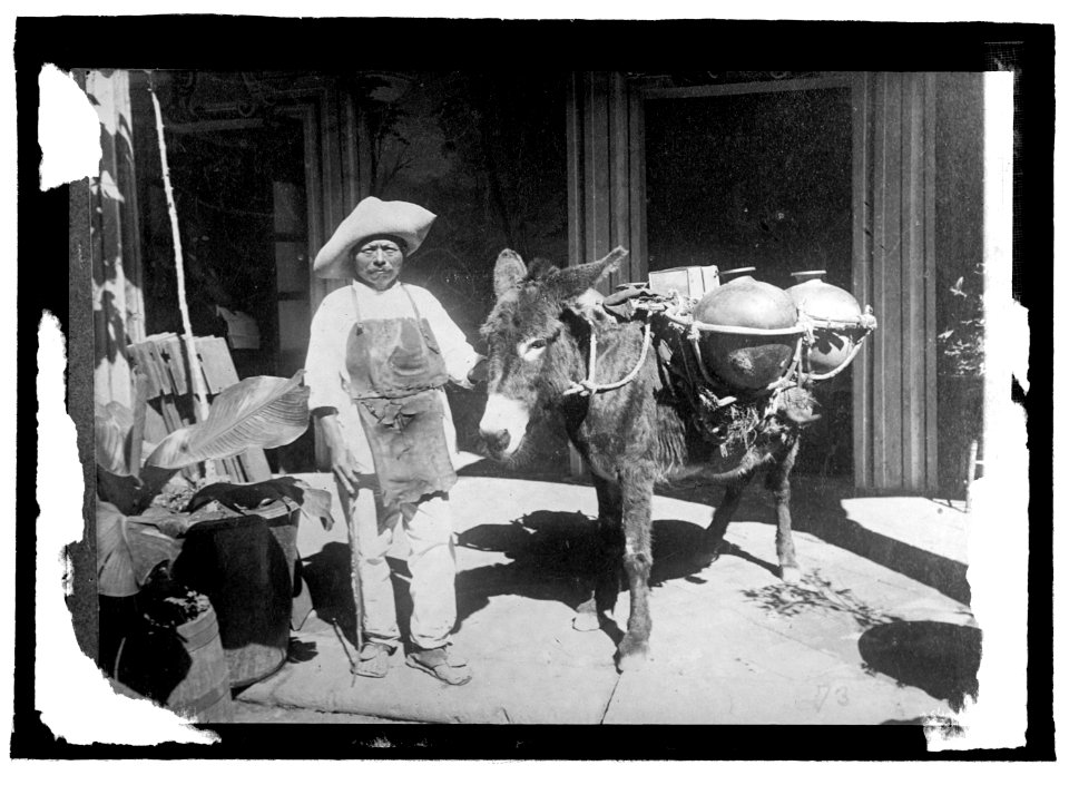 Mexico. Water peddler, Oaxaca LCCN2016821679