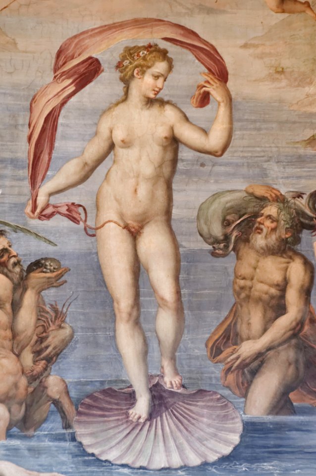 Nascita di Venere Palazzo Vecchio n02