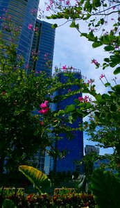 Modern skyscraper outdoor