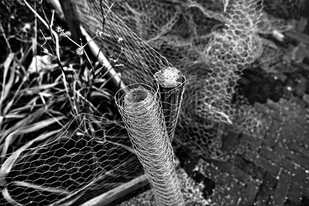 Mesh wire mesh fence photo