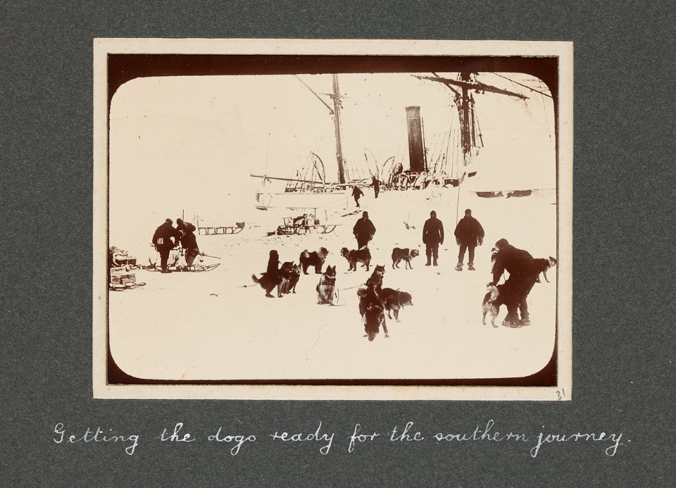 National Antarctic Expedition, 1901-1903 RMG S1048-012