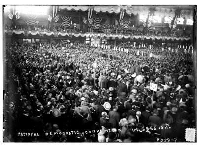 Nat'l Dem. Convention in session LCCN2014691952