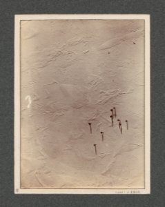 National Antarctic Expedition, 1901-1903 RMG S1048-006