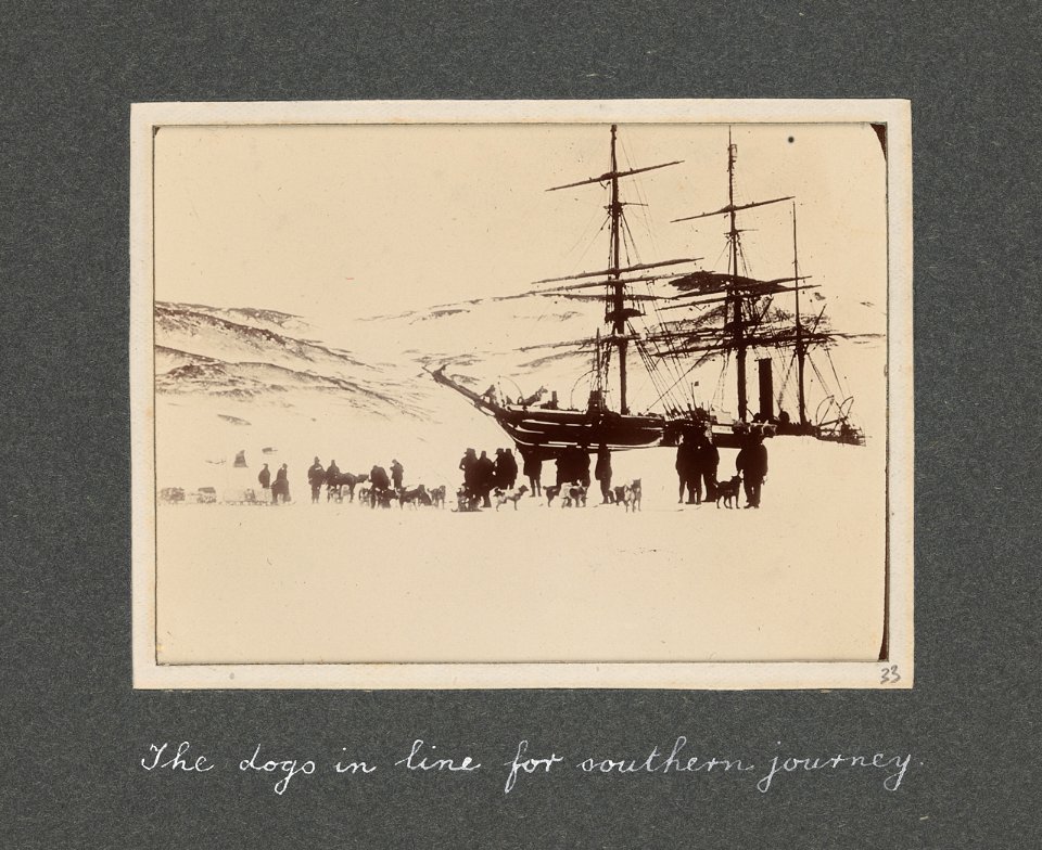 National Antarctic Expedition, 1901-1903 RMG S1048-014
