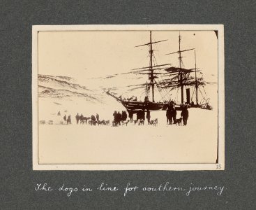 National Antarctic Expedition, 1901-1903 RMG S1048-014 photo