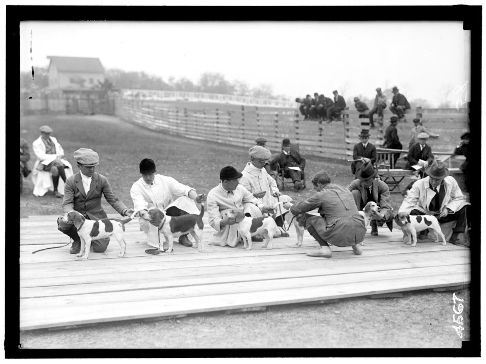 NATIONAL BEAGLE CLUB OF AMERICA. JUDGING DOGS. G. MIFFLIN WHARTON; 3 WHIPS; CHETWOOD SMITH; F.D. STUART; A.S. BURDEN LCCN2016865935