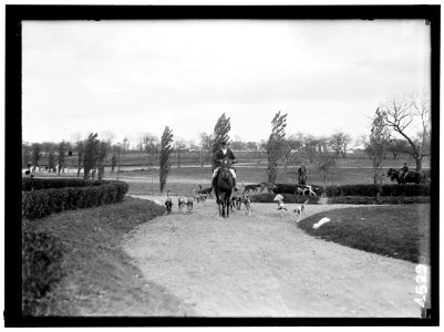 NATIONAL BEAGLE CLUB OF AMERICA. KENNELS AND DOGS OF J.B. THOMAS LCCN2016865897