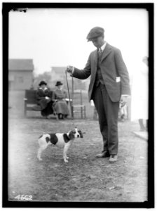 NATIONAL BEAGLE CLUB OF AMERICA. JAMES P. VAN DYKE OF SUNHURY, PA. LCCN2016865930