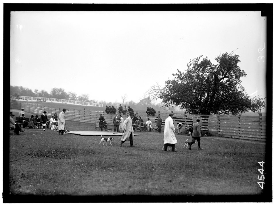 NATIONAL BEAGLE CLUB OF AMERICA. JUDGING DOGS LCCN2016865911