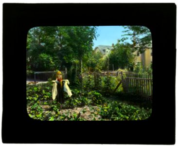 National Cash Register Company, Dayton, Ohio. Worker vegetable garden LCCN2007685069