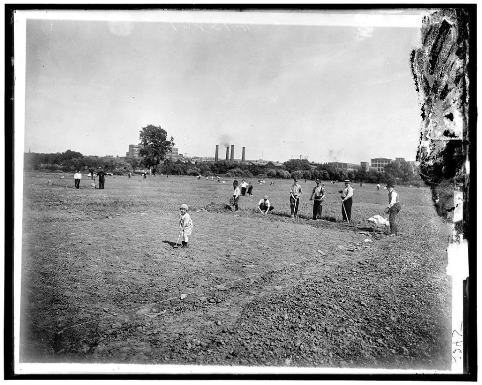 National Emergency Food Garden LOC hec.13831