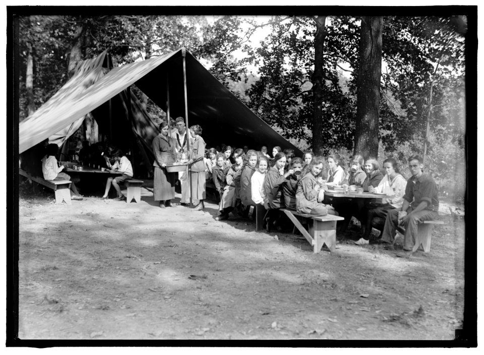 NATIONAL EMERGENCY WAR GARDENS COM. GIRL SCOUTS AND OTHERS LCCN2016870419