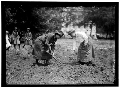 NATIONAL EMERGENCY WAR GARDENS COM. GIRL SCOUTS GARDENING AT D.A.R. LCCN2016867773