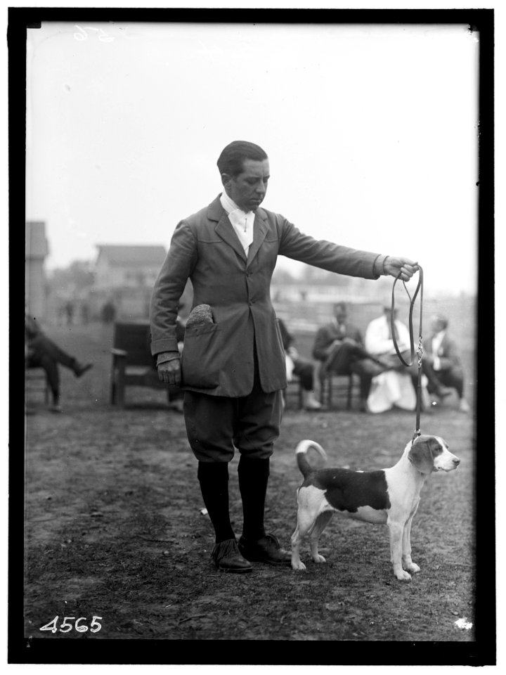 NATIONAL BEAGLE CLUB OF AMERICA. G. MIFFLIN WHARTON LCCN2016865933