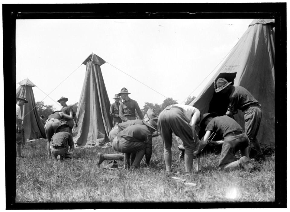 NATIONAL GUARD OF D.C. AT COLONIAL BEACH. PITCHING TENTS LCCN2016866750