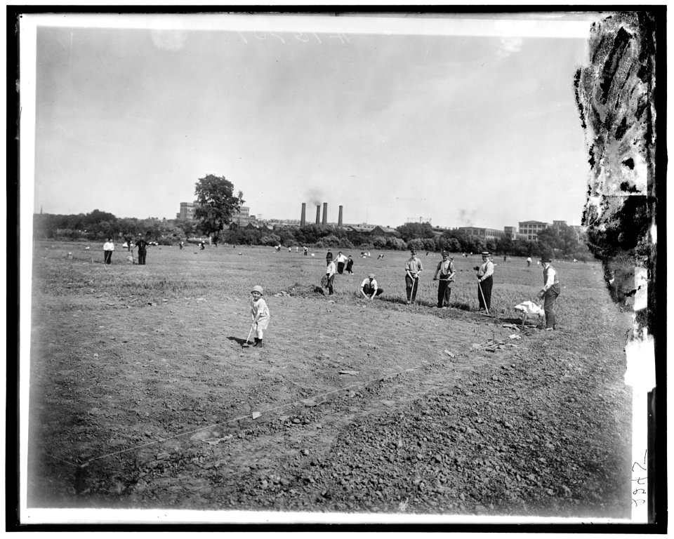 National Emergency Food Garden LOC hec.13831