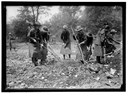 NATIONAL EMERGENCY WAR GARDENS COM. GIRL SCOUTS GARDENING AT D.A.R. LCCN2016867777