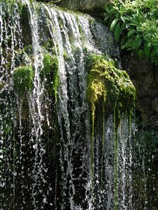 Moss nature green waterfall
