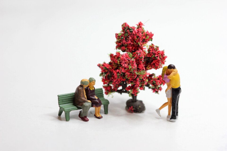 Winter season tree