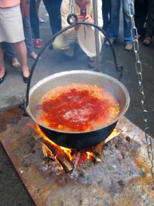 Native American Chefs Explore American Roots of Ukrainian Cuisine at the Honchar museum, May 23, 2013 (8878238684)