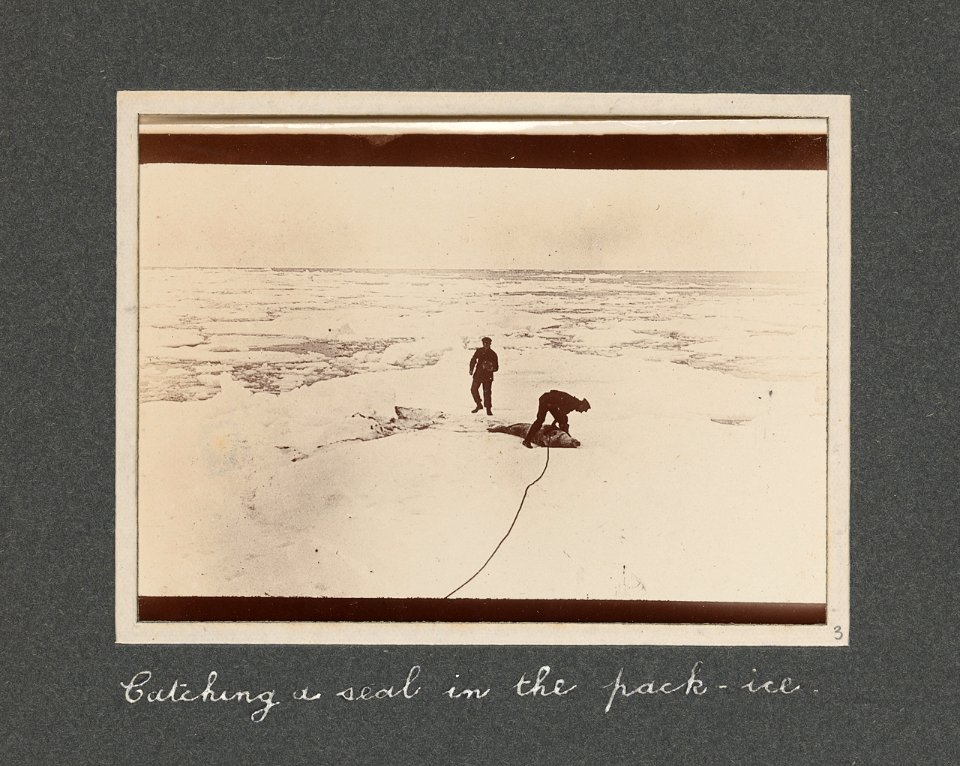 National Antarctic Expedition, 1901-1903 RMG S1048-001