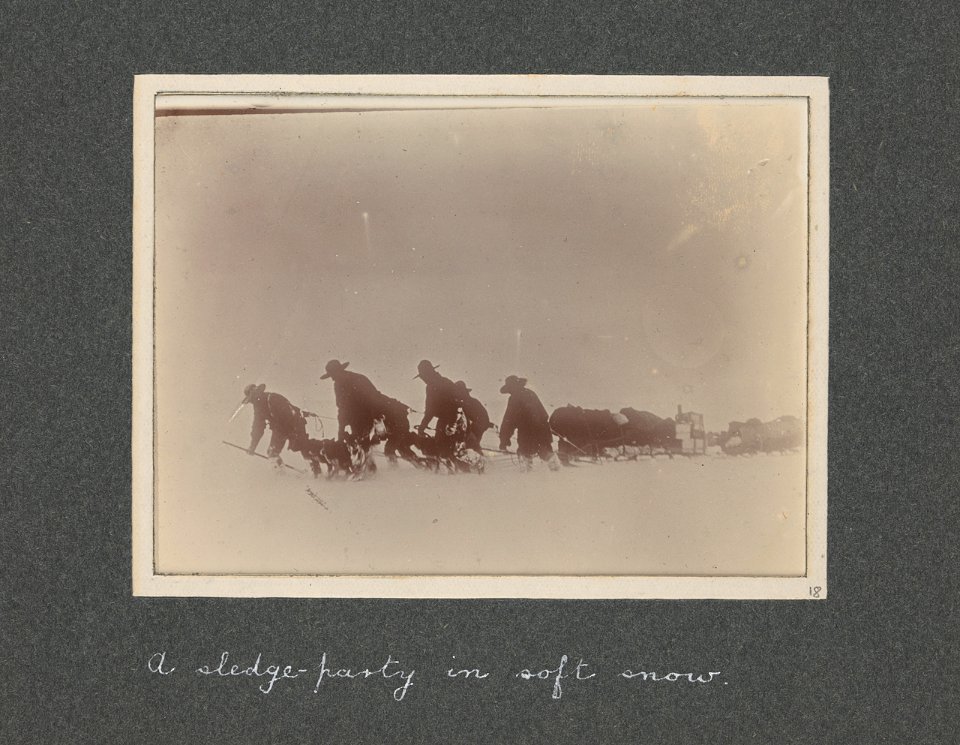 National Antarctic Expedition, 1901-1903 RMG S1048-009