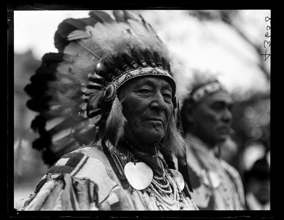 Native Americans at White House, Washington, D.C. LCCN2016890919