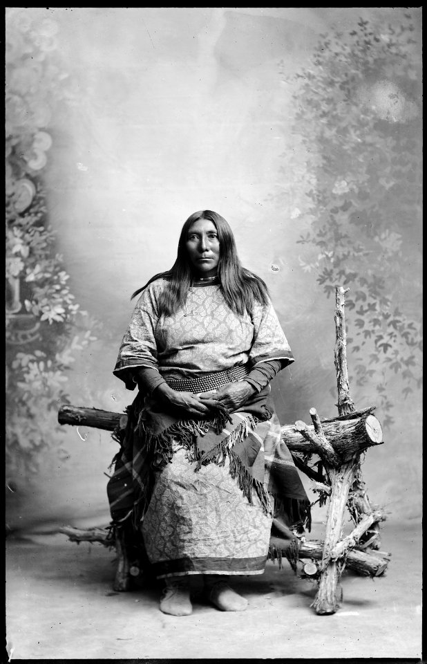 Native Americans from Southeastern Idaho - NARA - 519218