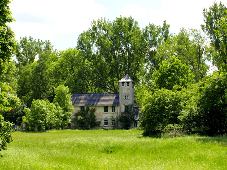 Forest villa tower