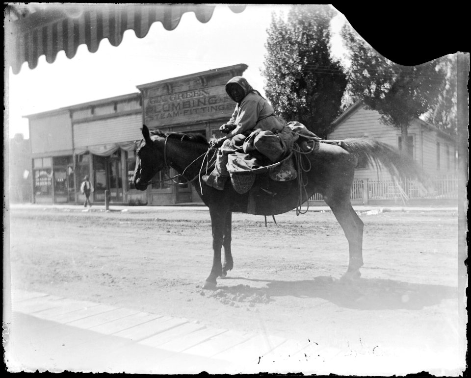 Native Americans from Southeastern Idaho, Old Theresa - NARA - 519195