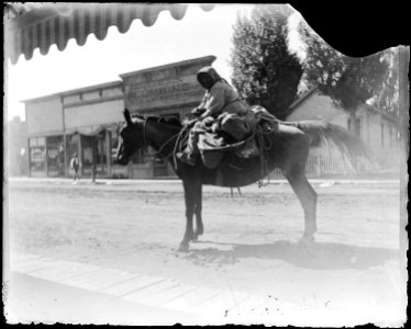 Native Americans from Southeastern Idaho, Old Theresa - NARA - 519195