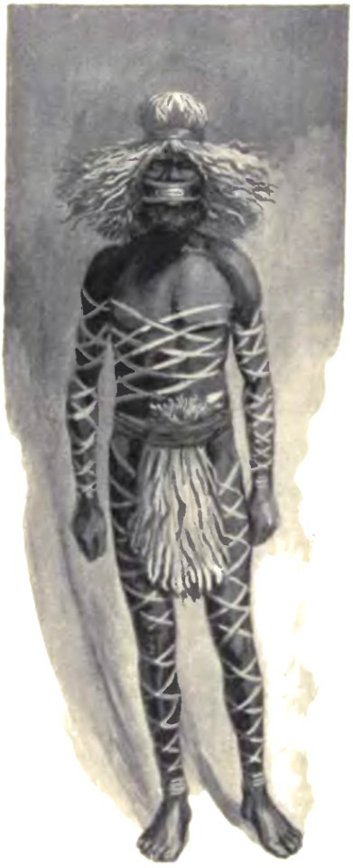 Native tribes of South-East Australia Fig 30 - Man decorated for the Kuringal ceremony