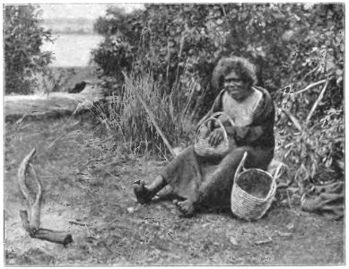 Native tribes of South-East Australia Fig 47 - Kurnai Woman with Baskets