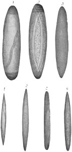 Native tribes of South-East Australia Fig 21 - Guliwil of the Wotjobaluk tribe