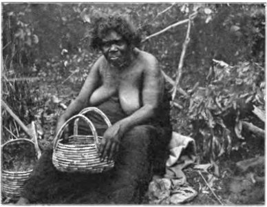 Native tribes of South-East Australia Fig 7 - A Kurnai woman