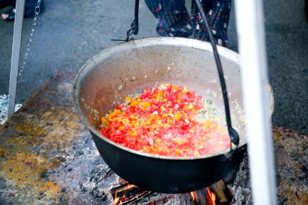 Native American Chefs Explore American Roots of Ukrainian Cuisine at the Honchar museum, May 23, 2013 (8878290759)
