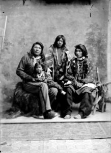 Native Americans from Southeastern Idaho - NARA - 519236