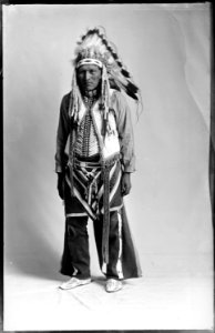 Native Americans from Southeastern Idaho - NARA - 519291