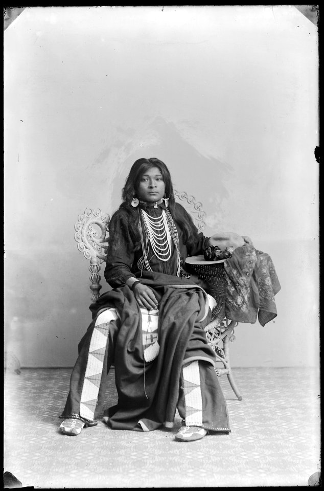 Native Americans from Southeastern Idaho - NARA - 519295