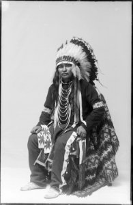 Native Americans from Southeastern Idaho - NARA - 519332