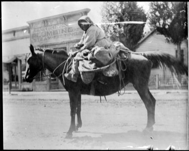 Native Americans from Southeastern Idaho, Old Theresa - NARA - 519274