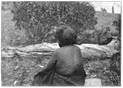 Native tribes of South-East Australia Fig 51 - Kurnai woman
