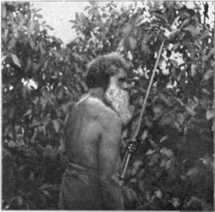 Native tribes of South-East Australia Fig 8 - One of the Krautungalung Clan