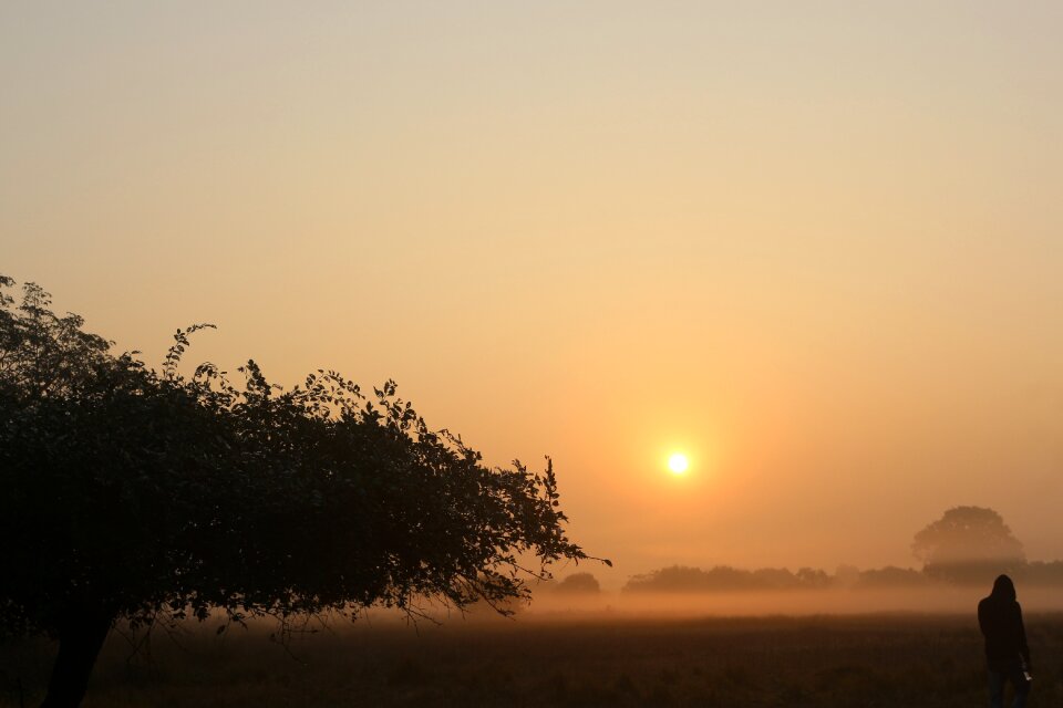 Fog sun silhouette