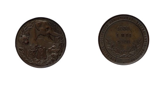 Natura Artis Magistra 50-jarig bestaan van het genootschap- (1888), objectnr PA 1401