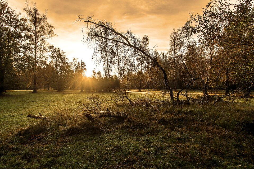 Landscape light mystical